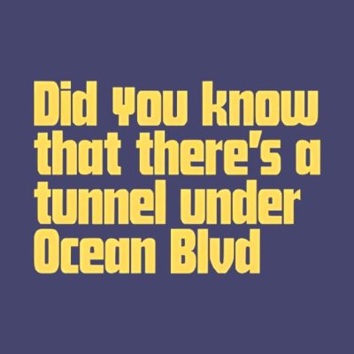 Did You Know That Theres A Tunnel Under Ocean Blvd Mug Official Lana Del Rey Merch